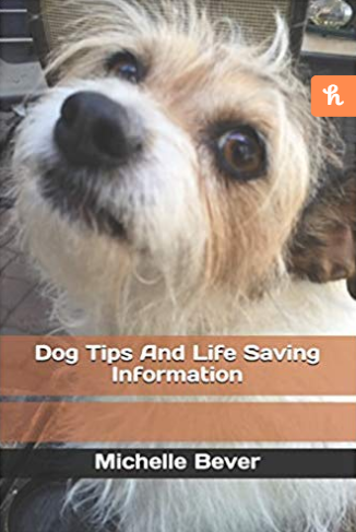 Dog Tips And Life Saving Information